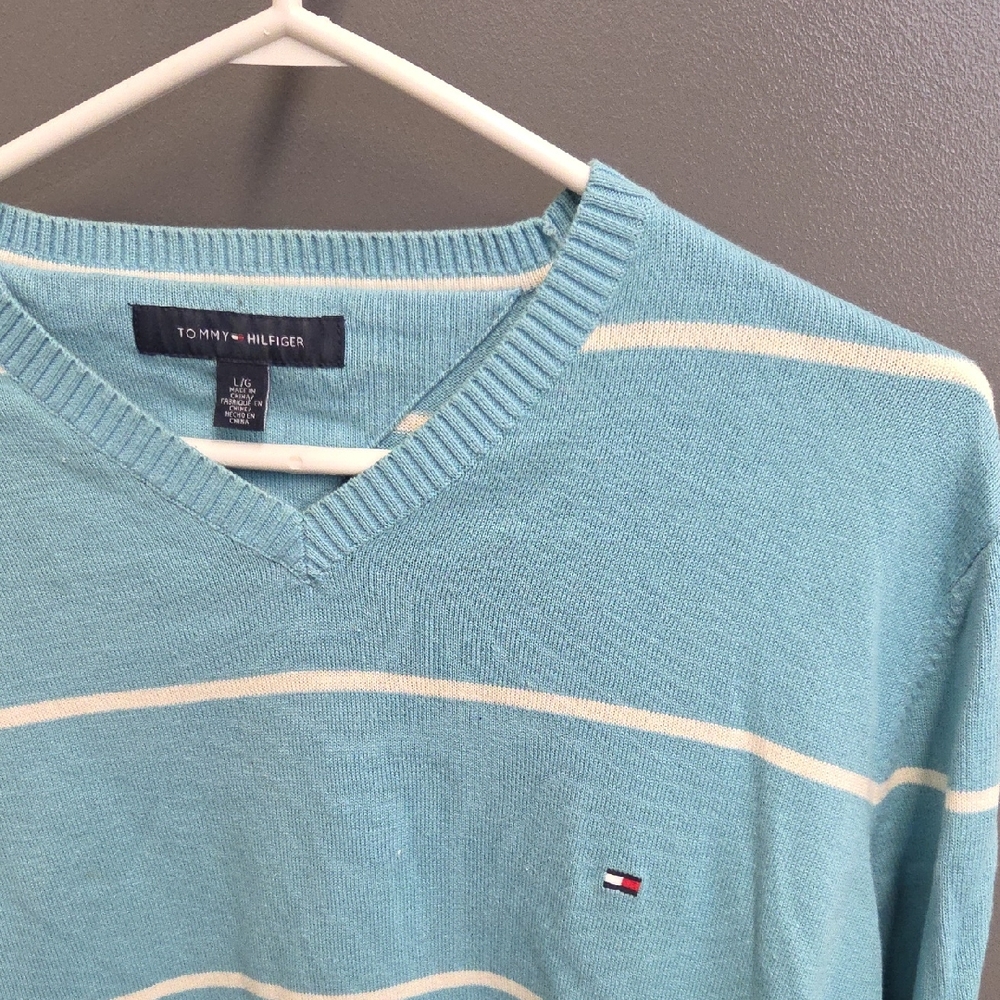 Tommy Hilfiger Men's Aqua V-Neck Sweater